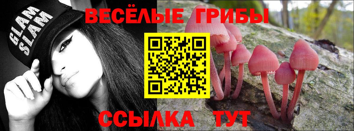 Галлюциногенные грибы MAGIC MUSHROOMS Кушва