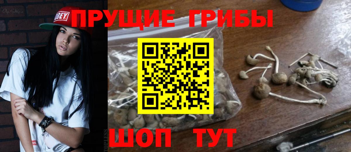 как найти закладки  Галлюциногенные грибы Cubensis  Вход с VPN  Кушва  Псилоцибиновые грибы Cubensis 